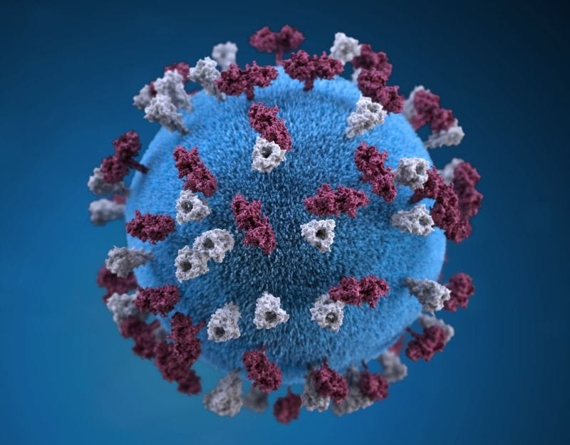 COVID-19 Virus Discussion - 6. Financial concerns COVID-19 Virus Discussion - 6. Financial concerns